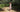 Women's Pointed-toe Ballet Flats Alora 1 Melvin & Hamilton