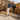 Thomas 6|hero_img
