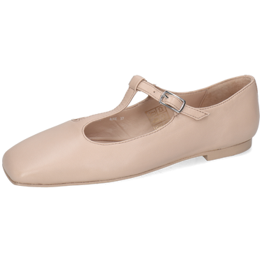 Livia 8