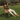 Clive 30|hero_img