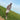 Cole 4|hero_img