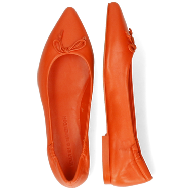 Alora 4