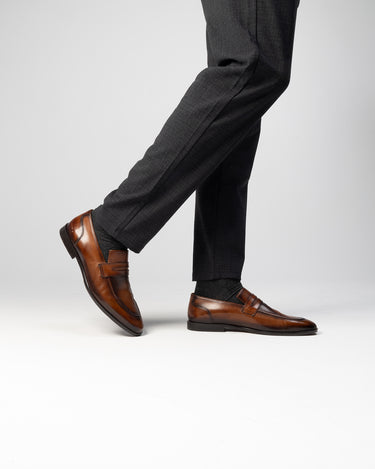 Santo 4|model