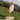 Adley 3|hero_img