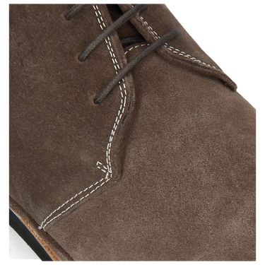 Florian 6