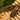 Nelson 20|hero_img