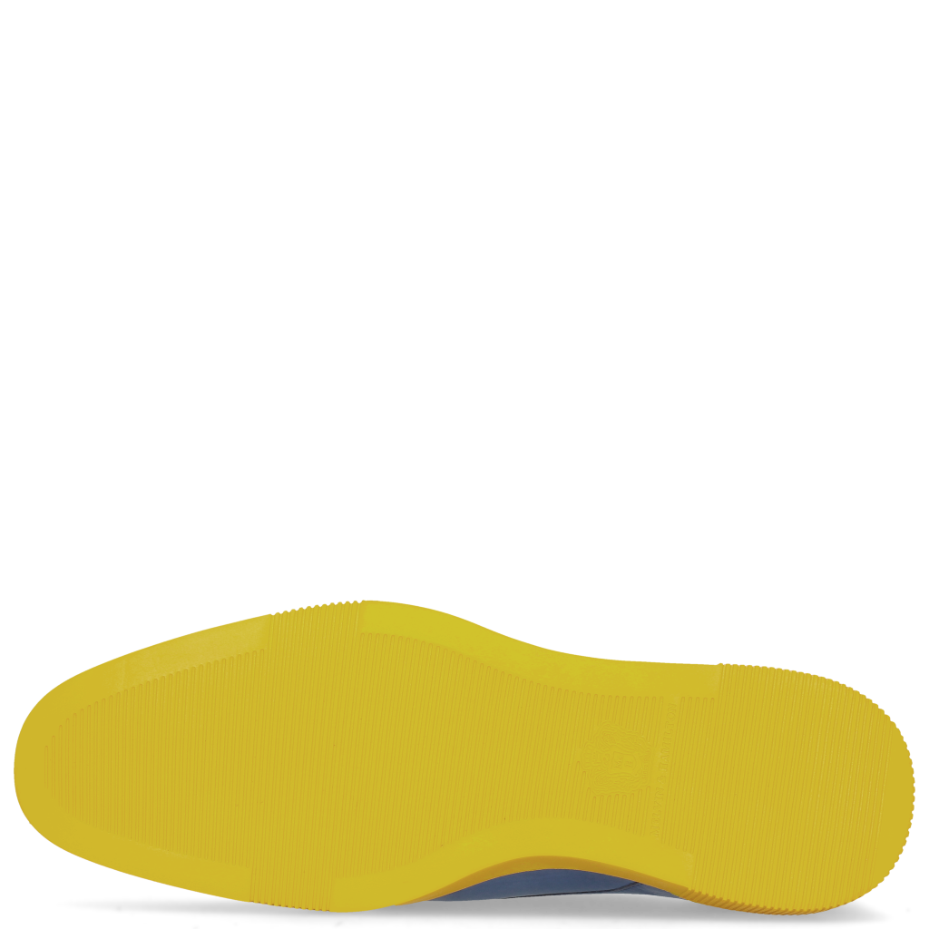 Newton 1