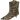 Aurora 1