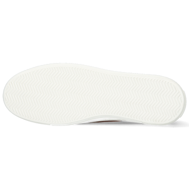 Amber 6