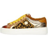 Amber 4