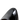 Mia 5