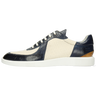 Newton 6