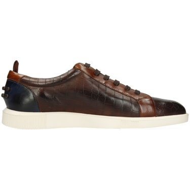 Newton 11