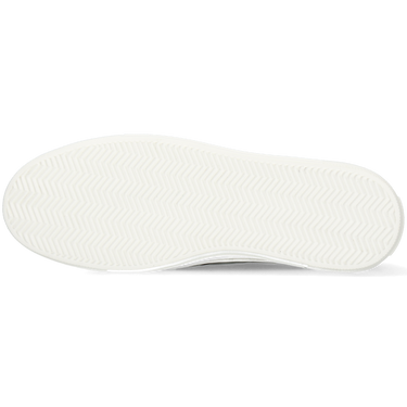 Amber 8