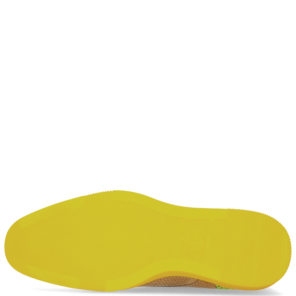Newton 2