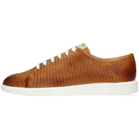 Newton 23