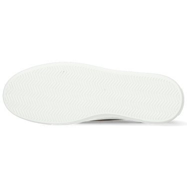 Amber 6