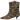 Aurora 1