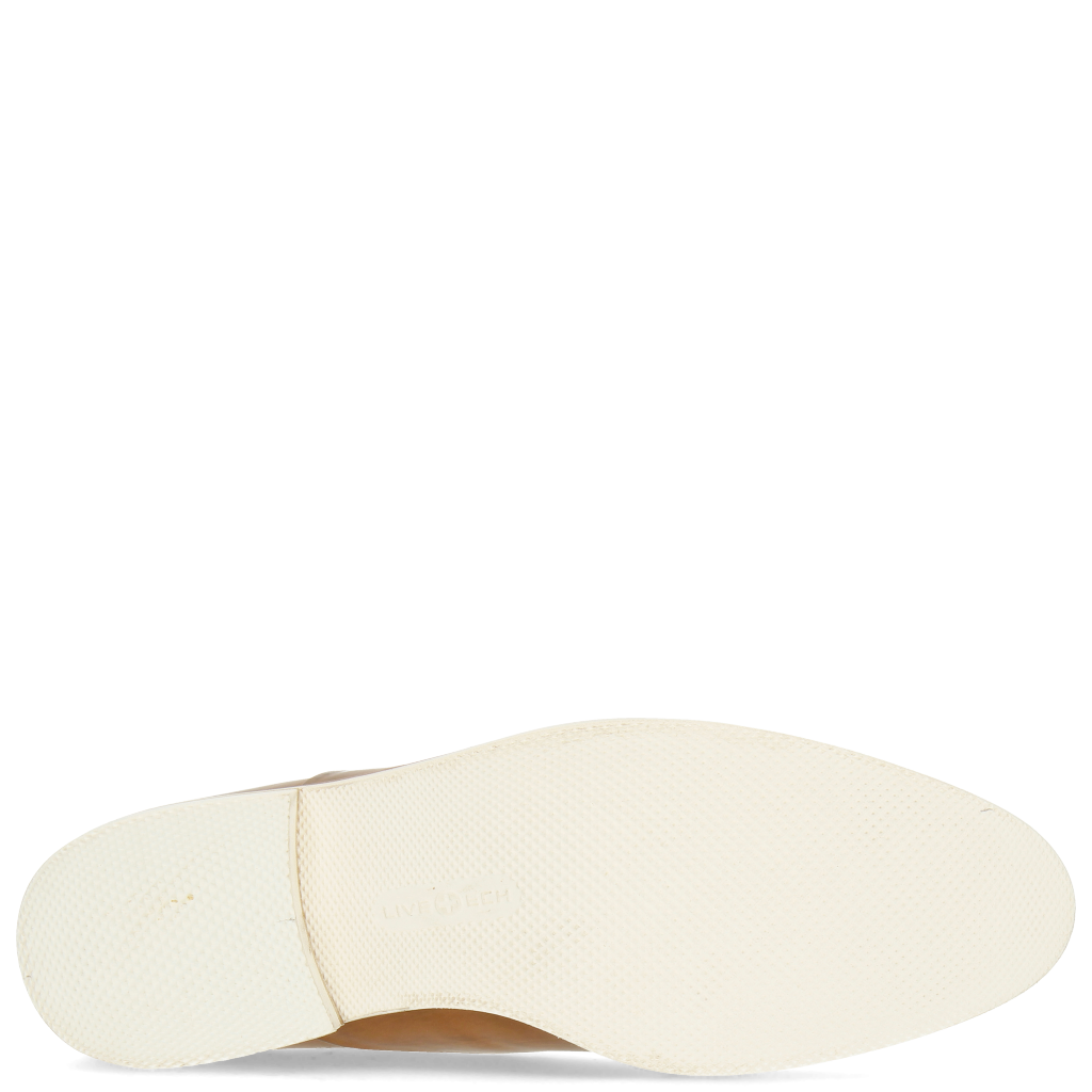 Scott 1