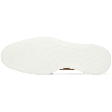 Newton 23