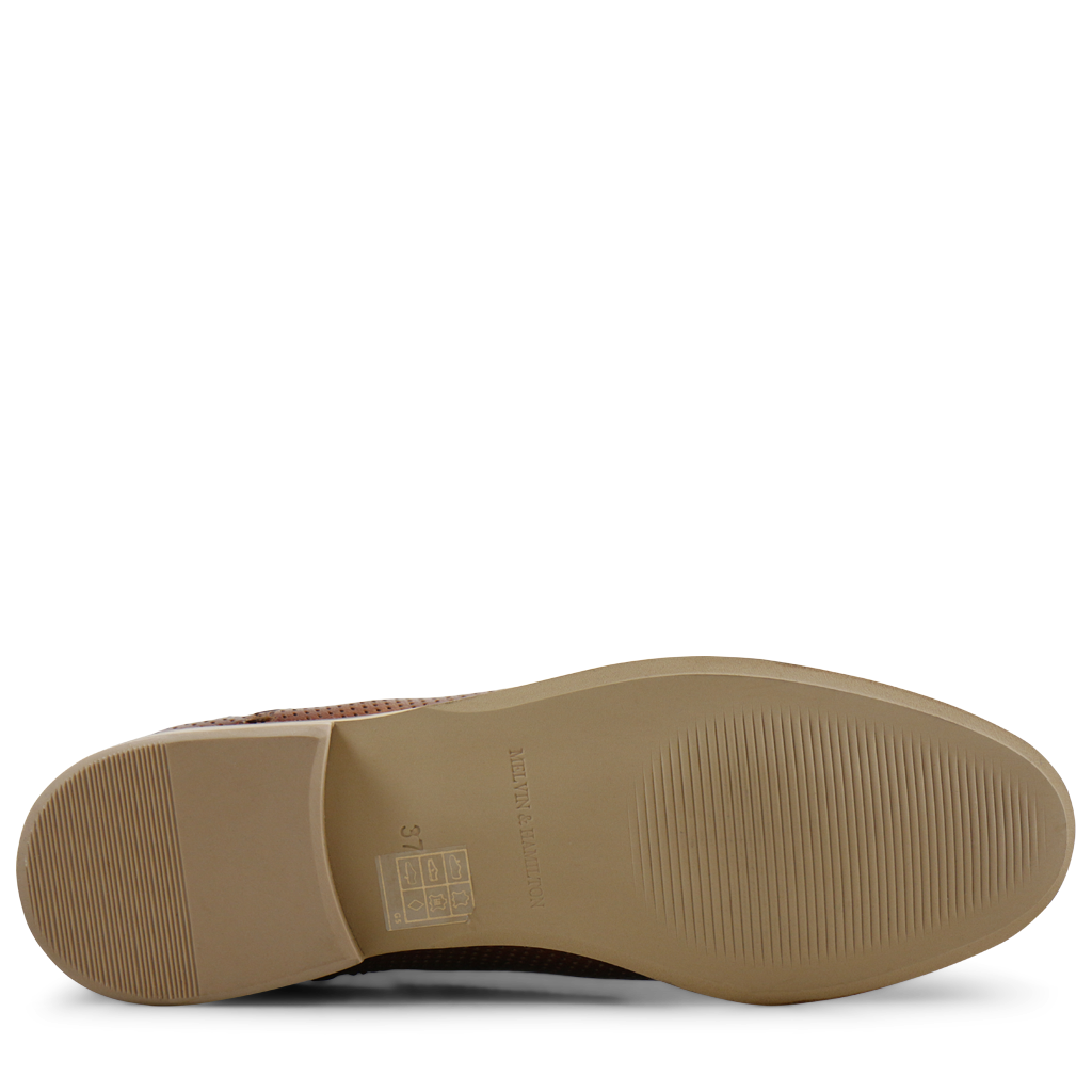 Xenia 1