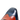 Jeff 14