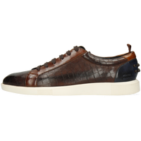 Newton 11