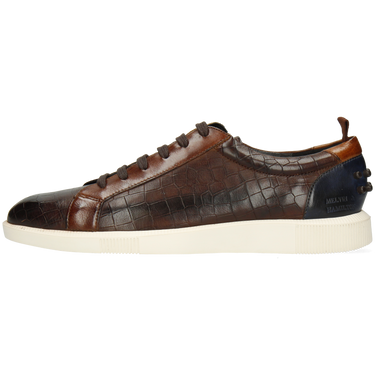 Newton 11
