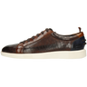 Newton 11