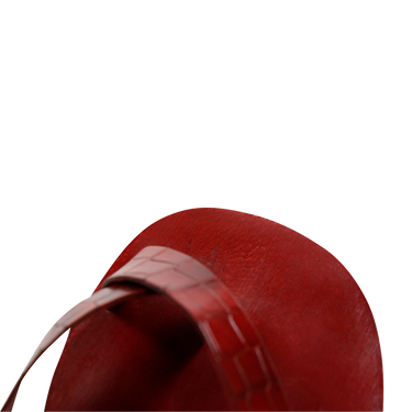 Sam 15