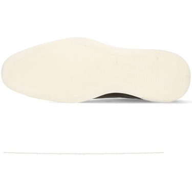 Newton 11