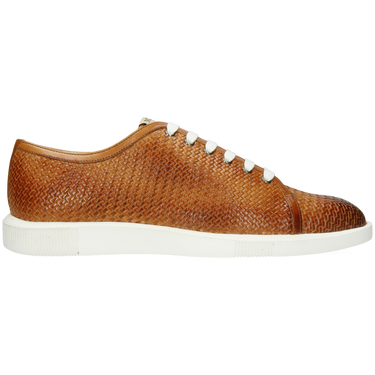 Newton 23