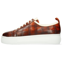 Amber 6