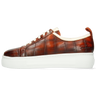 Amber 6