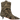 Aurora 1