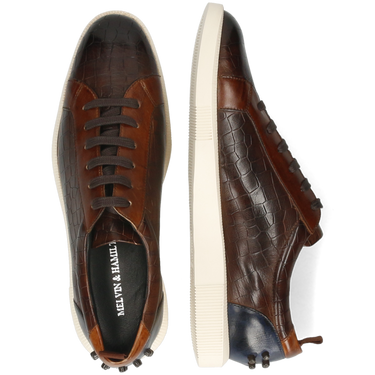 Newton 11