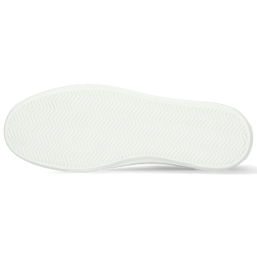 Amber 6